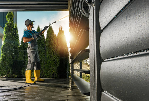 Best Gutter Cleaning  in Laredo, TX